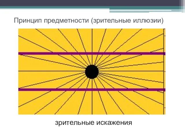 Принцип предметности (зрительные иллюзии) зрительные искажения