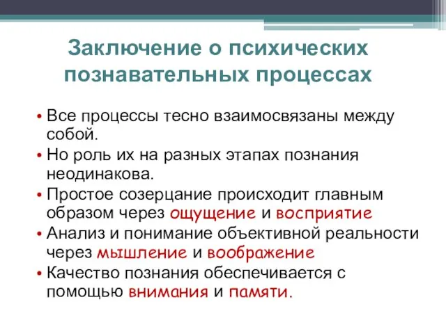 Заключение о психических познавательных процессах Все процессы тесно взаимосвязаны между