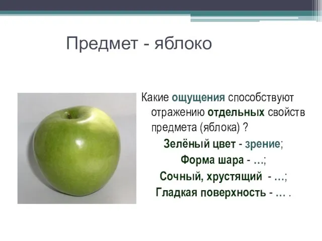 Предмет - яблоко Какие ощущения способствуют отражению отдельных свойств предмета