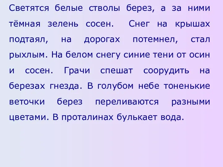 Светятся белые стволы берез, а за ними тёмная зелень сосен.