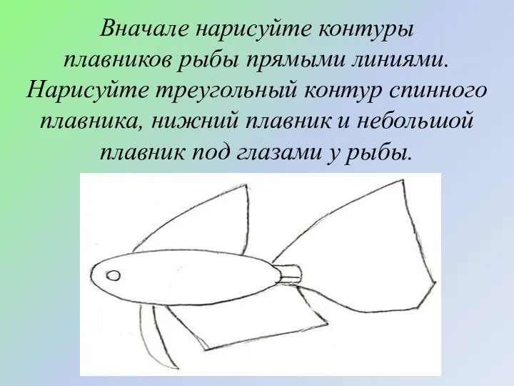 Вначале нарисуйте контуры плавников рыбы прямыми линиями. Нарисуйте треугольный контур спинного плавника, нижний