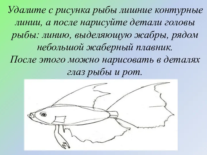 Удалите с рисунка рыбы лишние контурные линии, а после нарисуйте