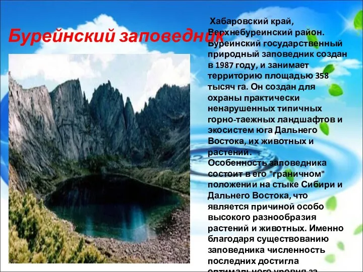 Хабаровский край, Верхнебуреинский район. Буреинский государственный природный заповедник создан в