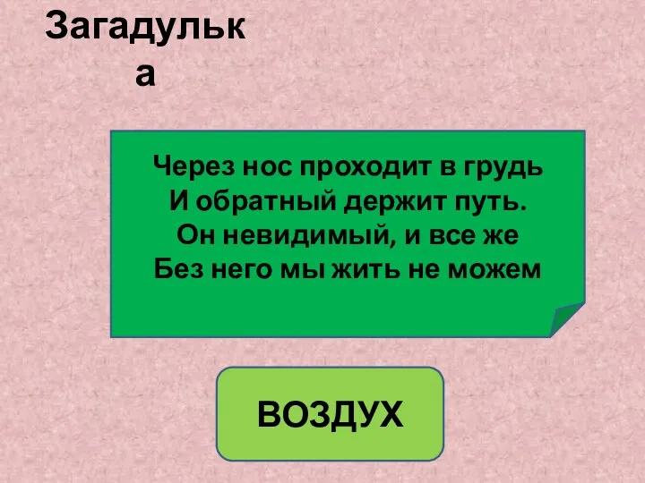 Загадулька Через нос проходит в грудь И обратный держит путь.