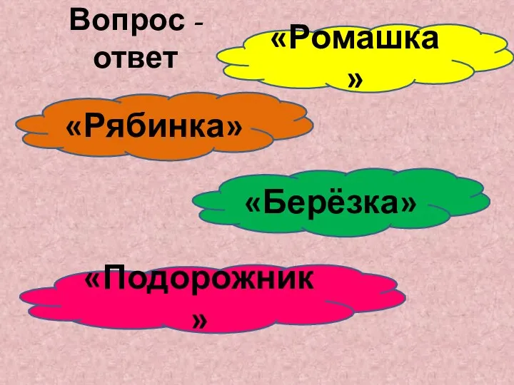 Вопрос - ответ «Ромашка» «Берёзка» «Рябинка» «Подорожник»