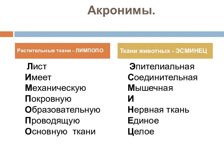 Акронимы. Лист Имеет Механическую Покровную Образовательную Проводящую Основную ткани Эпителиальная