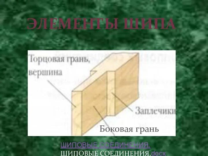 ЭЛЕМЕНТЫ ШИПА Боковая грань ШИПОВЫЕ СОЕДИНЕНИЯ.ШИПОВЫЕ СОЕДИНЕНИЯ.docx