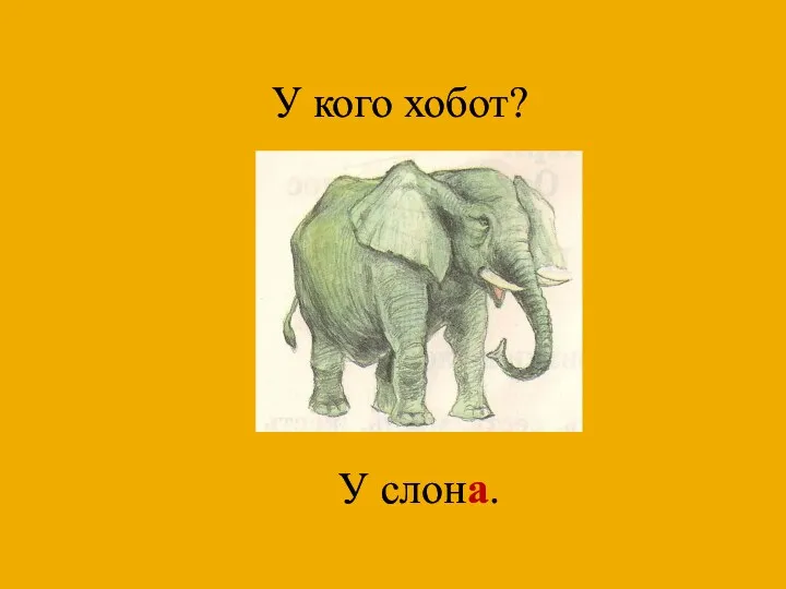 У кого хобот? У слона.