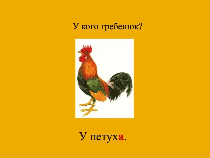 У кого гребешок? У петуха.