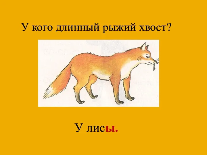 У кого длинный рыжий хвост? У лисы.