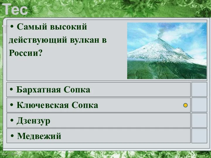 Самый высокий действующий вулкан в России? Бархатная Сопка Ключевская Сопка Дзензур Медвежий