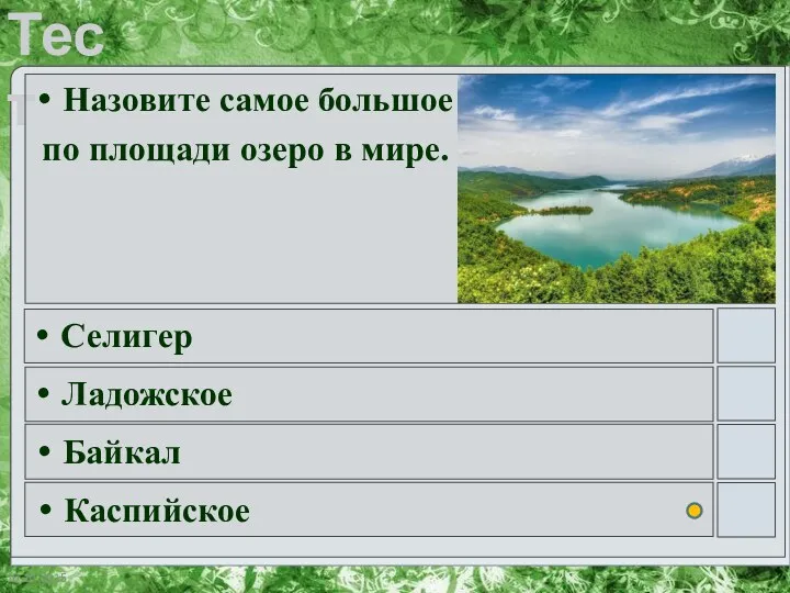 Назовите самое большое по площади озеро в мире. Селигер Ладожское Байкал Каспийское
