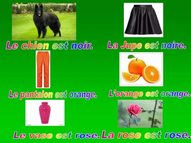 La Jupe est noire. Le chien est noir. Le pantalon