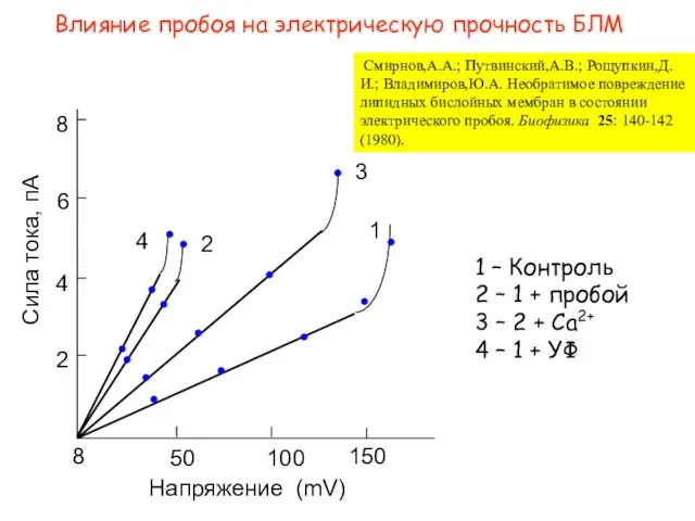 Влияние пробоя на электрическую прочность БЛМ Смирнов,А.А.; Путвинский,А.В.; Рощупкин,Д.И.; Владимиров,Ю.А.