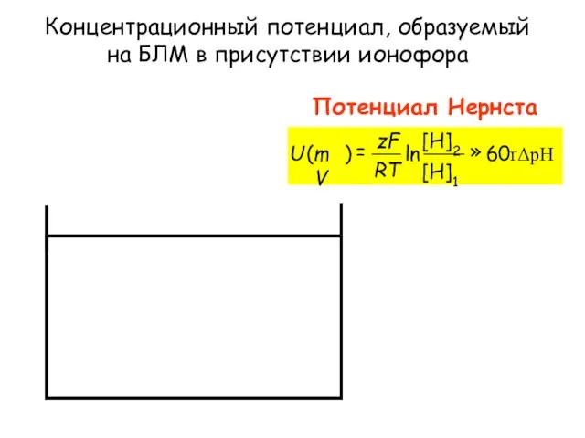 Концентрационный потенциал, образуемый на БЛМ в присутствии ионофора Потенциал Нернста Электролит + ионофор БЛМ