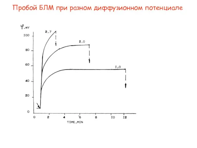 Пробой БЛМ при разном диффузионном потенциале