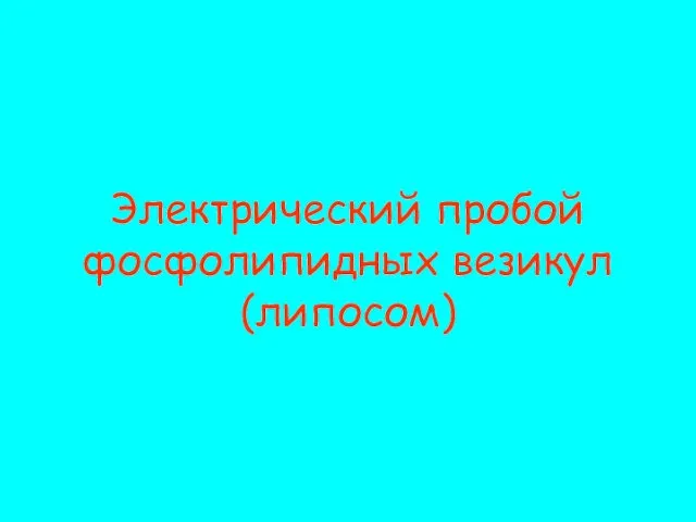 Электрический пробой фосфолипидных везикул (липосом)