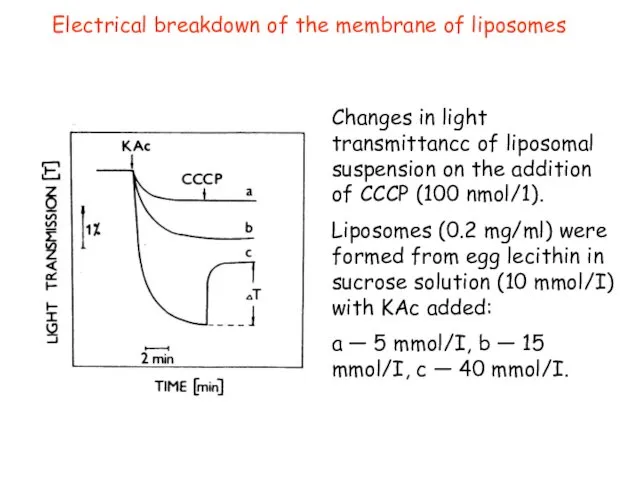 Electrical breakdown of the membrane of liposomes Changes in light