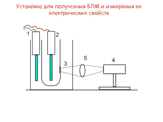 Установка для получсения БЛМ и измерения ее электрических свойств