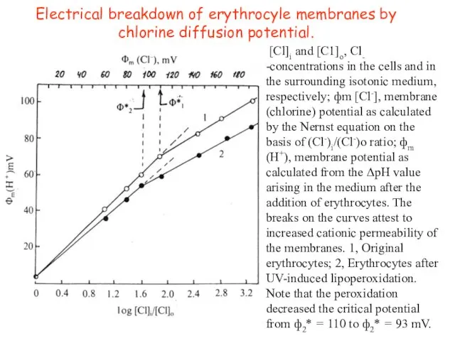 [Cl]i and [C1]o, Cl- -concentrations in the cells and in