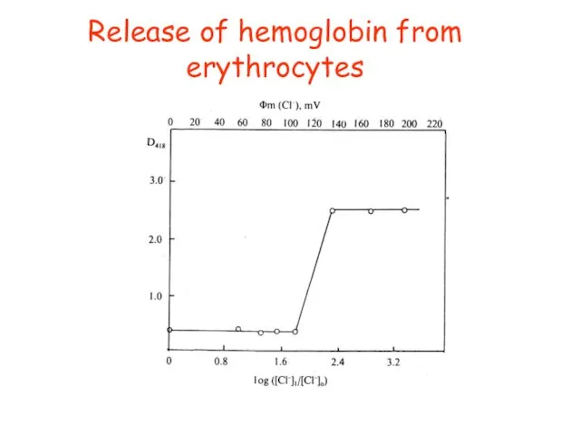 Release of hemoglobin from erythrocytes