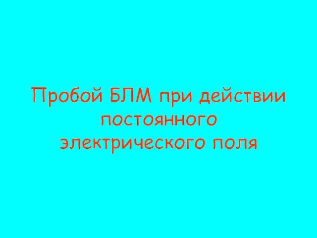 Пробой БЛМ при действии постоянного электрического поля