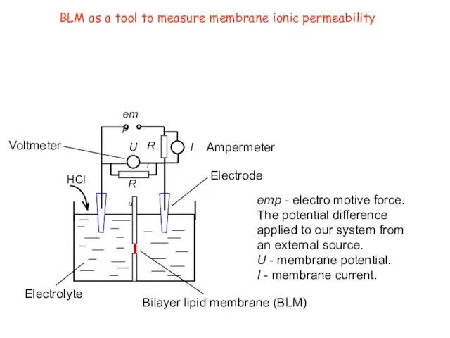 BLM as a tool to measure membrane ionic permeability HCl