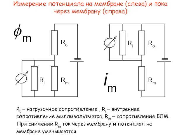 Измерение потенциала на мембране (слева) и тока через мембрану (справа)