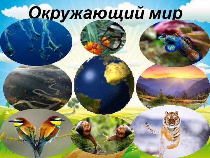 Окружающий мир