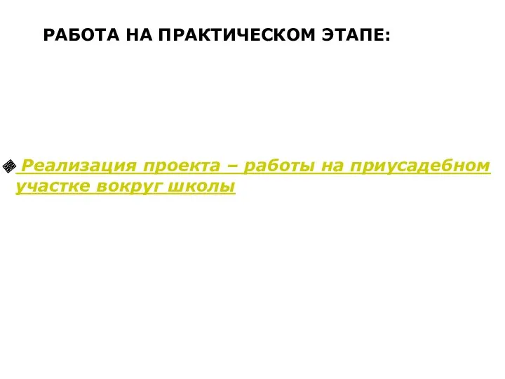 РАБОТА НА ПРАКТИЧЕСКОМ ЭТАПЕ: Реализация проекта – работы на приусадебном участке вокруг школы