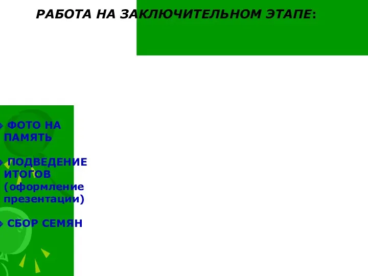 РАБОТА НА ЗАКЛЮЧИТЕЛЬНОМ ЭТАПЕ: ФОТО НА ПАМЯТЬ ПОДВЕДЕНИЕ ИТОГОВ (оформление презентации) СБОР СЕМЯН