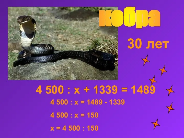 кобра 4 500 : x + 1339 = 1489 30