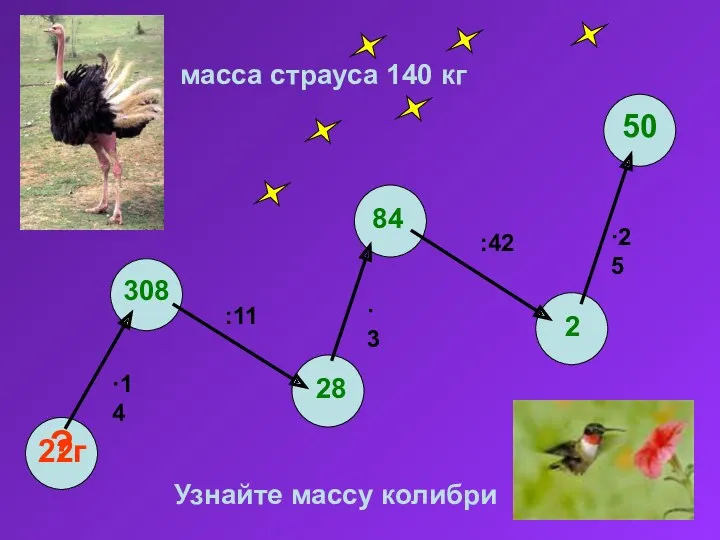 масса страуса 140 кг 22г ·14 ·25 :42 ·3 :11