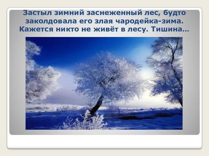 Застыл зимний заснеженный лес, будто заколдовала его злая чародейка-зима. Кажется никто не живёт в лесу. Тишина…