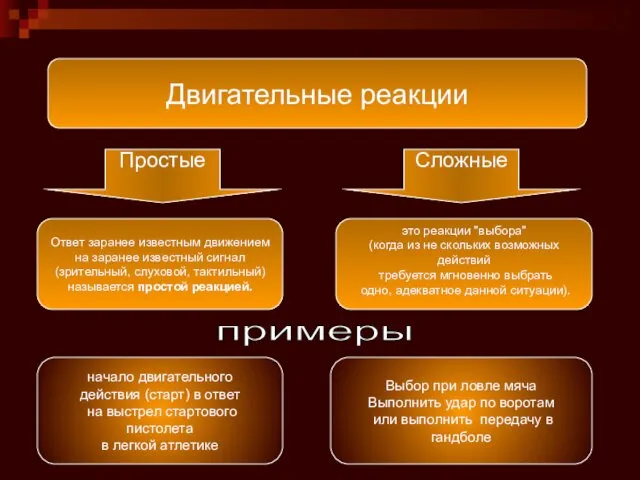 Двигательные реакции Ответ заранее известным движением на заранее известный сигнал