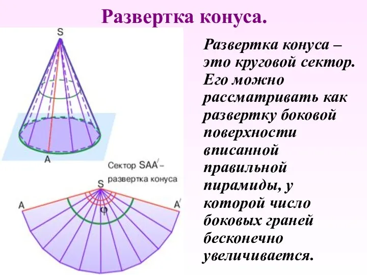 Развертка конуса. Развертка конуса – это круговой сектор. Его можно рассматривать как развертку