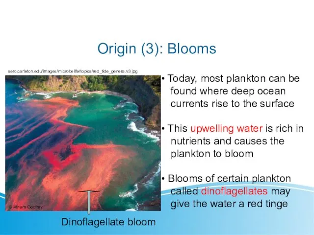 Origin (3): Blooms serc.carleton.edu/images/microbelife/topics/red_tide_genera.v3.jpg Today, most plankton can be found