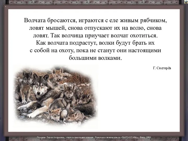 Волчата бросаются, играются с еле живым рябчиком, ловят мышей, снова