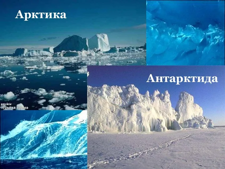 Арктика Антарктида