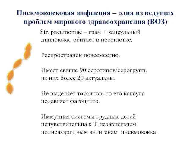 Пневмококковая инфекция – одна из ведущих проблем мирового здравоохранения (ВОЗ)