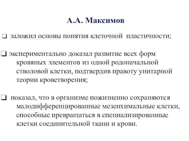 А.А. Максимов заложил основы понятия клеточной пластичности; экспериментально доказал развитие