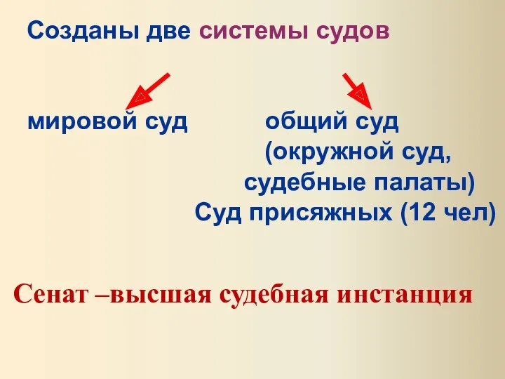 Созданы две системы судов мировой суд общий суд (окружной суд, судебные палаты) Суд