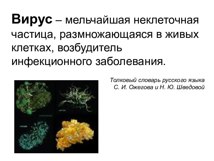 Вирус – мельчайшая неклеточная частица, размножающаяся в живых клетках, возбудитель инфекционного заболевания.