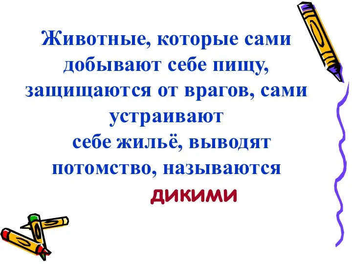 Животные, которые сами добывают себе пищу, защищаются от врагов, сами