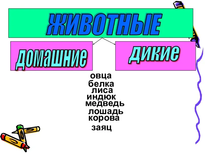 ЖИВОТНЫЕ домашние дикие овца белка лиса индюк медведь лошадь заяц корова