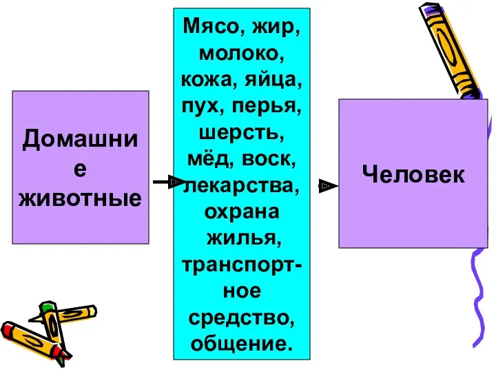 Домашние животные Человек Мясо, жир, молоко, кожа, яйца, пух, перья,