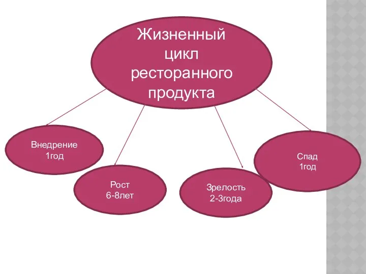 Жизненный цикл ресторанного продукта Внедрение 1год Рост 6-8лет Зрелость 2-3года Спад 1год