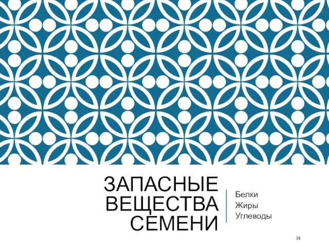 ЗАПАСНЫЕ ВЕЩЕСТВА СЕМЕНИ Белки Жиры Углеводы