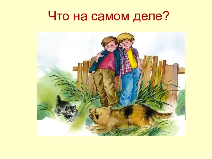 Что на самом деле?