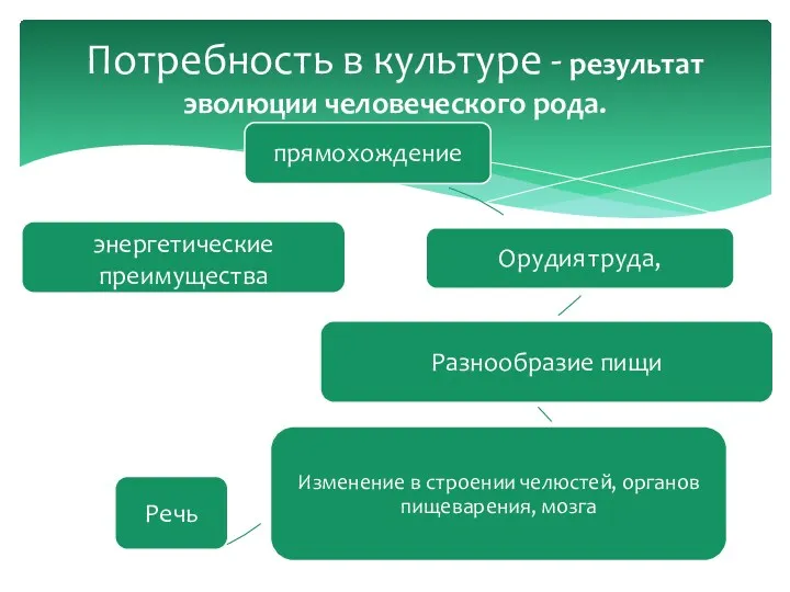 Потребность в культуре - результат эволюции человеческого рода.